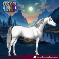 Horse Color:Liver Chestnut Sabino