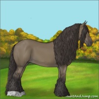 Horse Color:Smoky Grullo 