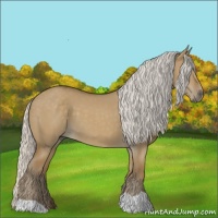 Horse Color:Silver Smoky Grullo 
