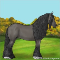 Horse Color:Grullo 