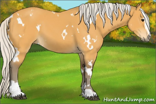 Horse Color:White Spotted Silver Buckskin Sabino 