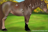 Horse Color:White Spotted Liver Chestnut Tobiano 