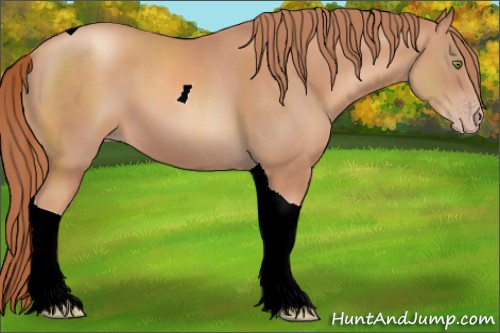 Horse Color:Gold Champagne Tobiano 