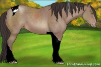 Horse Color:Sable Champagne Tobiano Varnish 