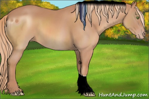 Horse Color:ERROR: UNKNOWN ANOMALY