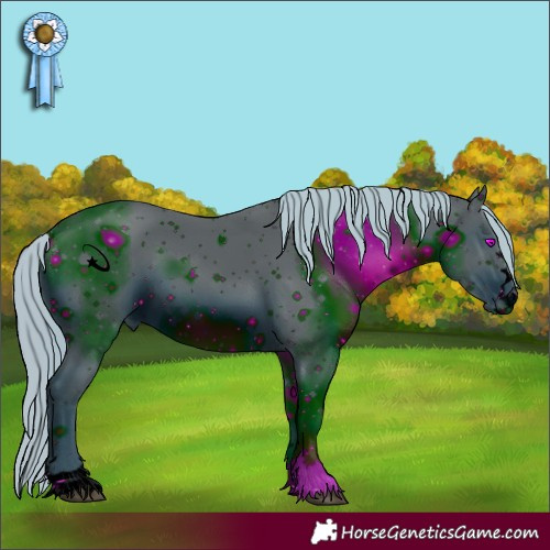Horse Color:ERROR: UNKNOWN ANOMALY