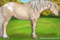 Horse Color:White Spotted Chocolate Palomino Pearl 