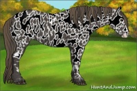 Horse Color:Smoky Black Leopard 
