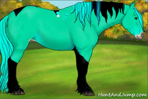 Horse Color:Palomino Tobiano 