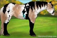 Horse Color:White Spotted Chestnut Tobiano 