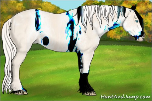 Horse Color:ERROR: UNKNOWN ANOMALY