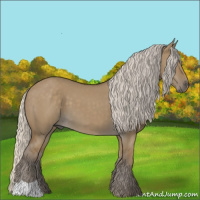 Horse Color:Silver Smoky Grullo 