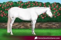 Horse Color:Gold Champagne Near Leopard and Gold Champagne Dun Near Leopard