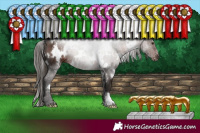 Horse Color:White Spotted Liver Chestnut 