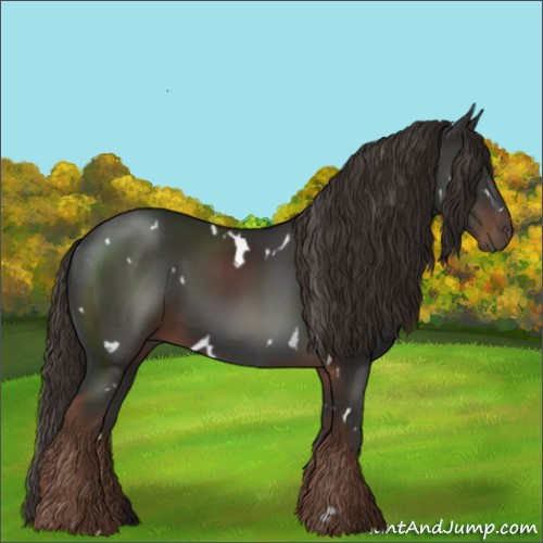 Horse Color:White Spotted Liver Chestnut