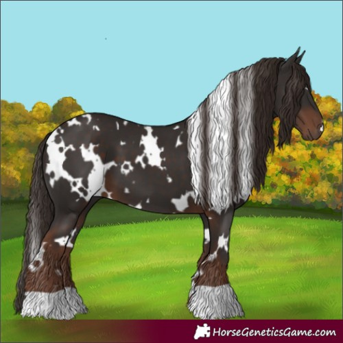 Horse Color:White Spotted Liver Chestnut 