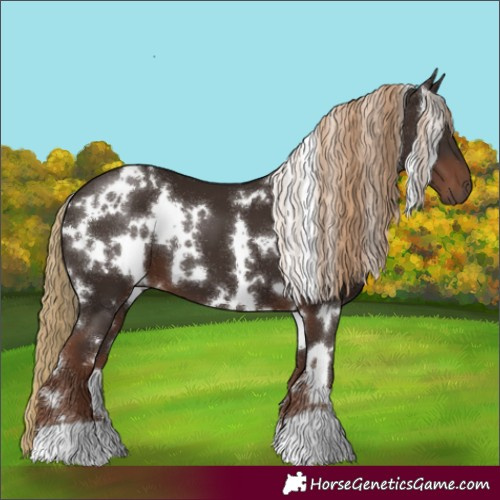Horse Color:White Spotted Liver Chestnut 