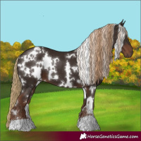 Horse Color:White Spotted Liver Chestnut 