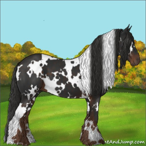 Horse Color:White Spotted Liver Chestnut 