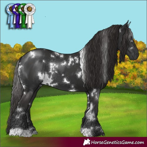 Horse Color:White Spotted Liver Chestnut 