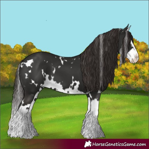 Horse Color:White Spotted Liver Chestnut Splash 
