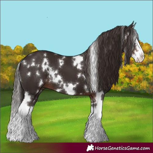 Horse Color:White Spotted Liver Chestnut Splash 