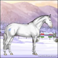 Horse Color:Silver Brown Sabino 