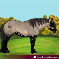 Horse Color:Void Brown Dun Splash 