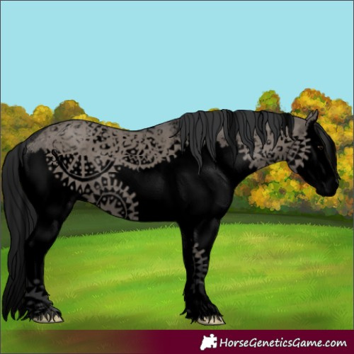 Horse Color:Void Grullo Sabino Splash 