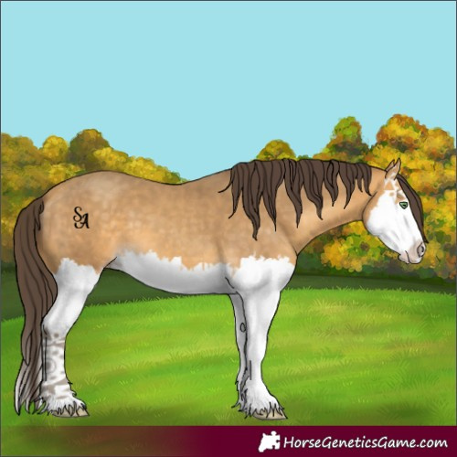 Horse Color:Sable Cream Champagne Splash