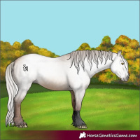 Horse Color:Gray Void Silver Sable Champagne Dun 