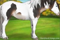 Horse Color:Liver Chestnut Sabino Splash Tobiano 