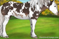 Horse Color:White Spotted Silver Brown Sabino Splash 