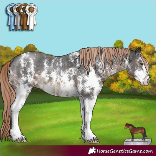 Horse Color:Liver Chestnut Sabino 