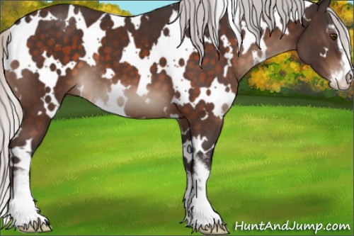 Horse Color:White Spotted Silver Brown Mushroom Sabino 