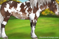 Horse Color:White Spotted Silver Brown Sabino 