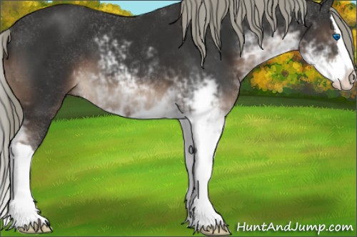 Horse Color:Liver Chestnut Mushroom Sabino Splash
