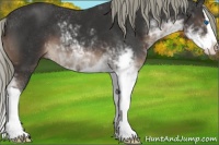 Horse Color:Liver Chestnut Mushroom Sabino Splash 