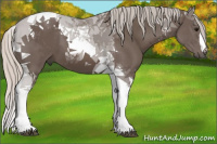 Horse Color:Silver Black Tobiano