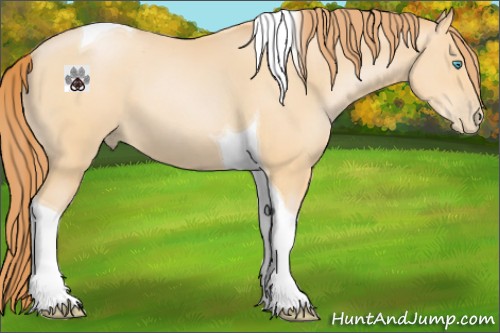 Horse Color:Buckskin Pearl Tobiano