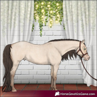 Horse Color:Amber Champagne Roan Dun