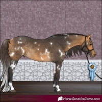 Horse Color:White Spotted Buckskin Rabicano