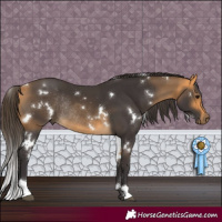 Horse Color:White Spotted Buckskin Rabicano 