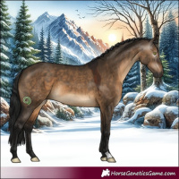 Horse Color:Gray Brown Dun 