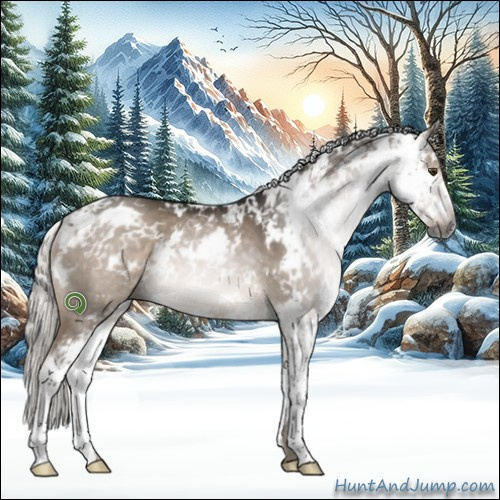 Horse Color:Gray Silver Brown Dun Sabino 
