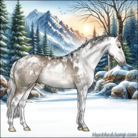 Horse Color:Gray Silver Brown Dun Sabino