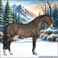 Horse Color:Brown Dun Sabino 