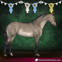 Horse Color:Brown Dun 