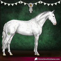 Horse Color:Silver Brown Dun Sabino Rabicano Brindle 