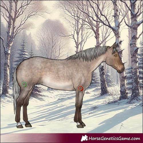 Horse Color:Silver Brown Roan Dun Brindle 